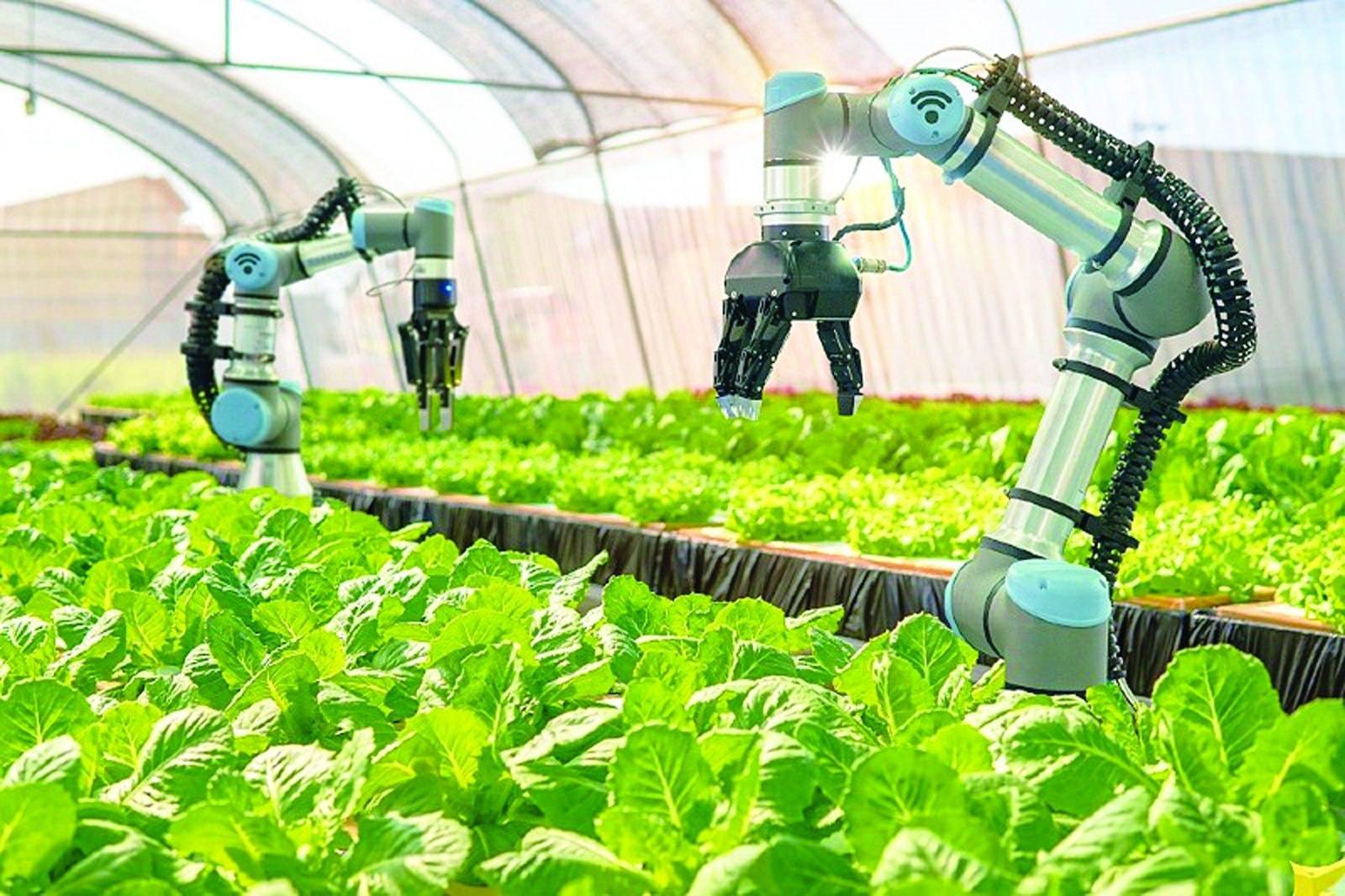 Science and technology for climate change adaptation in Vietnamese agriculture