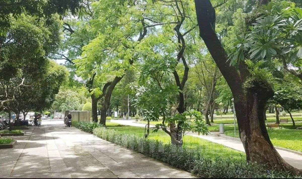 Urban green spaces and public health: The importance of vegetation structure