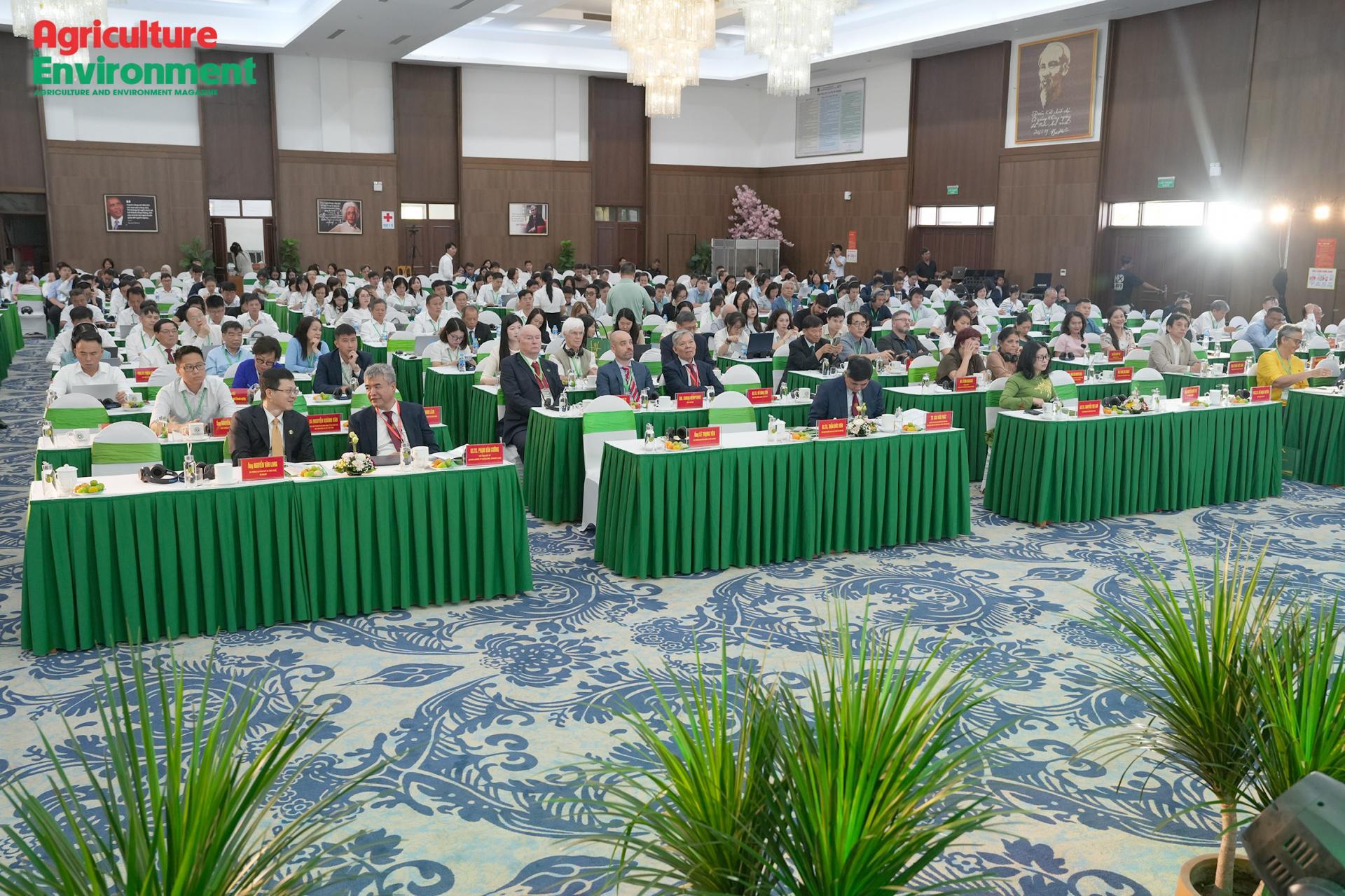 tri_hvnn2_1792481675.jpg