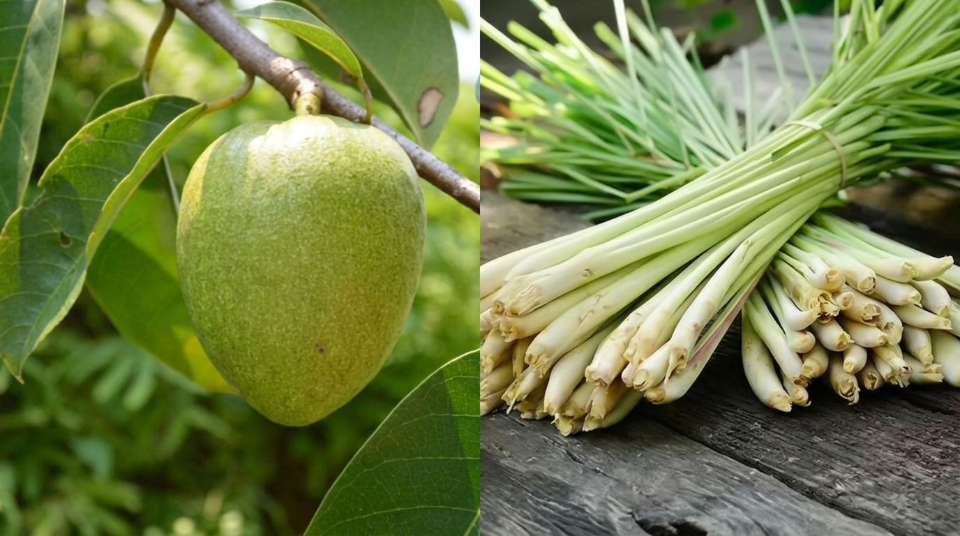 Pond apple and lemongrass nanoemulsions: A potential approach to environmentally friendly Rice disease management