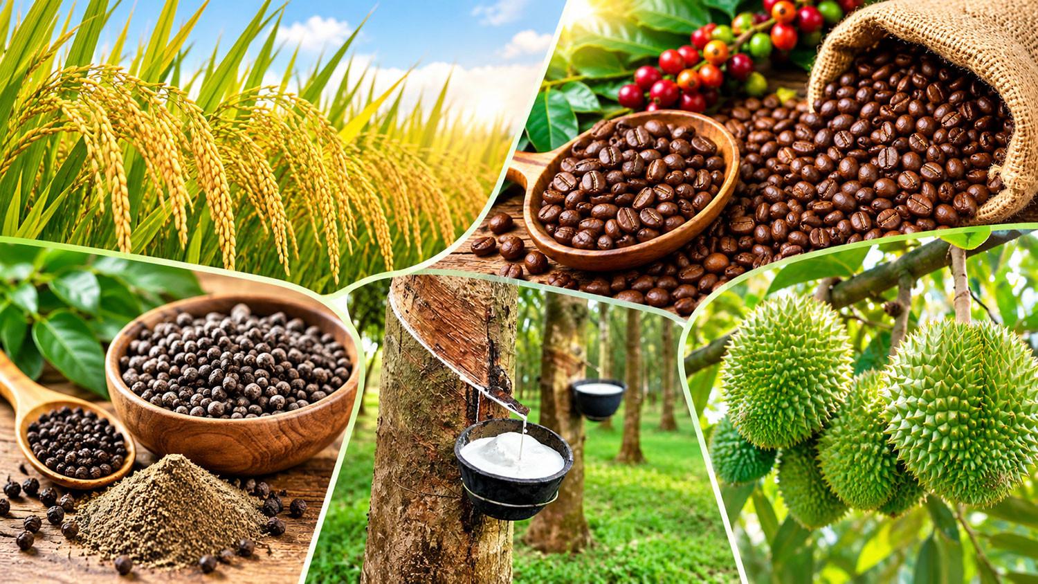 A commodity-specific approach to classifying Viet Nam’s agricultural export markets