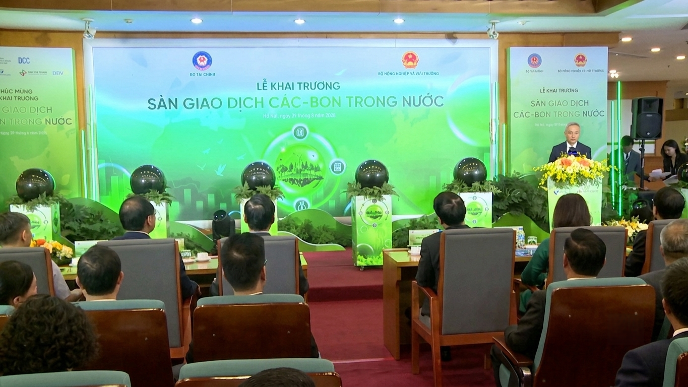 thitruong_carbon1_1783067178.png