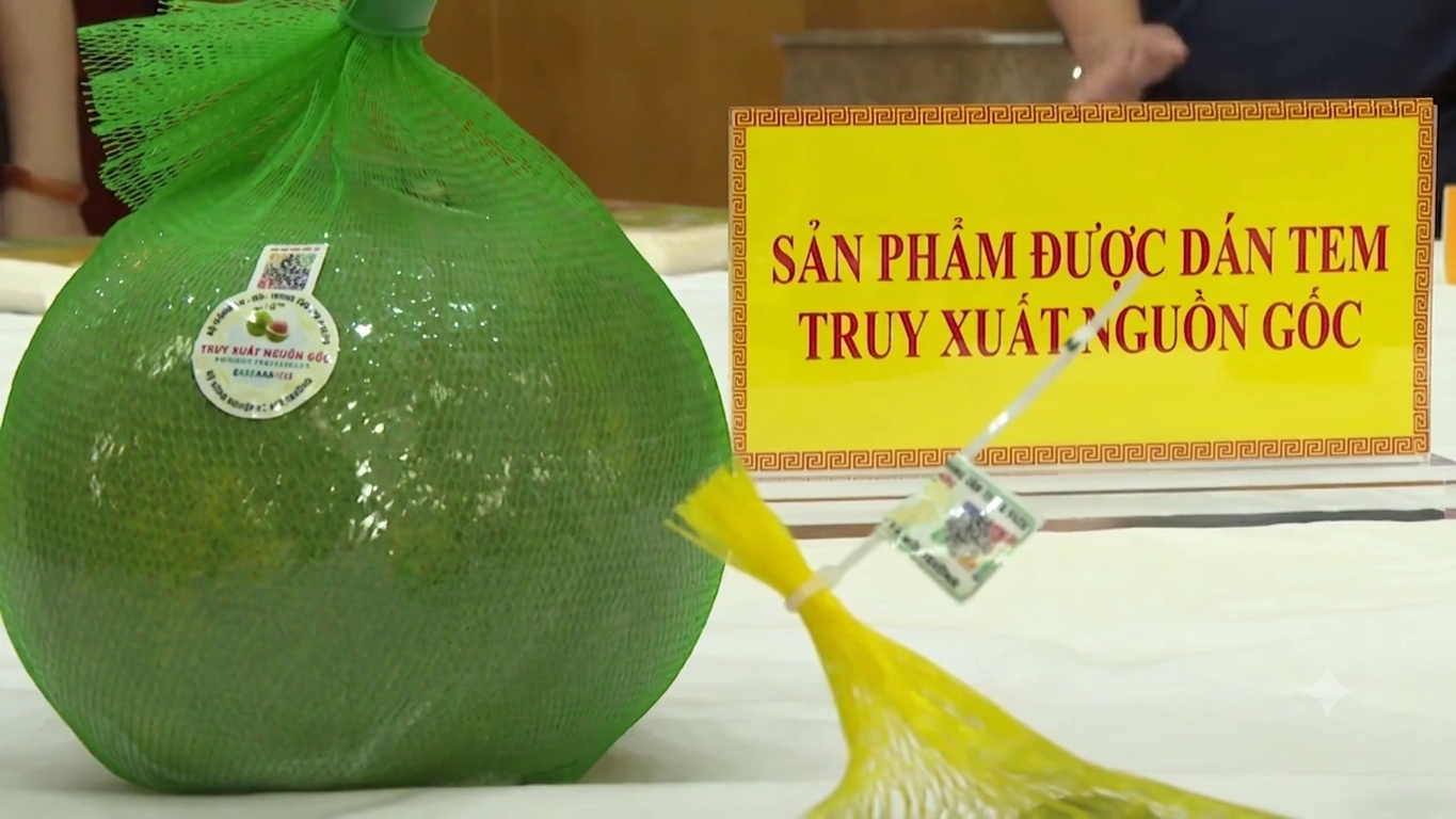 anh_truyxuat1_1782977290.png
