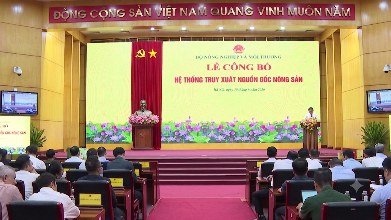 anh_truyxuat_1782977020.png