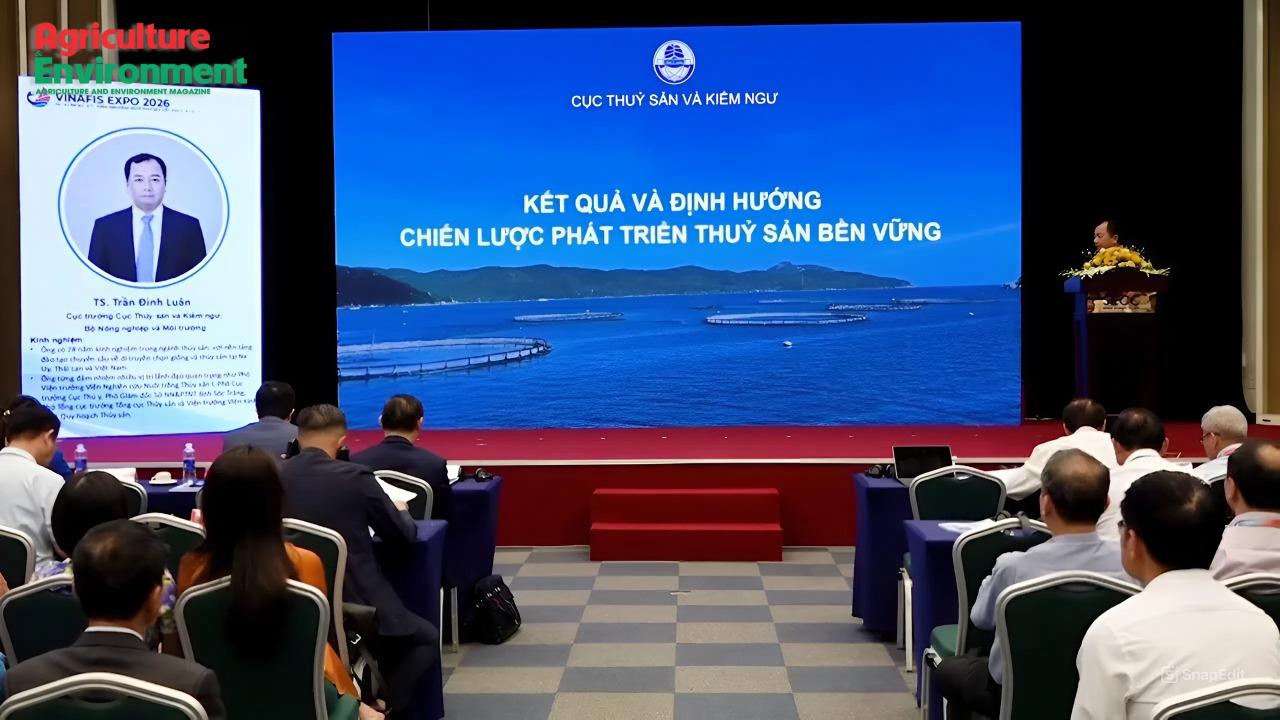 tien_hnthuysan5_1778018262.jpeg