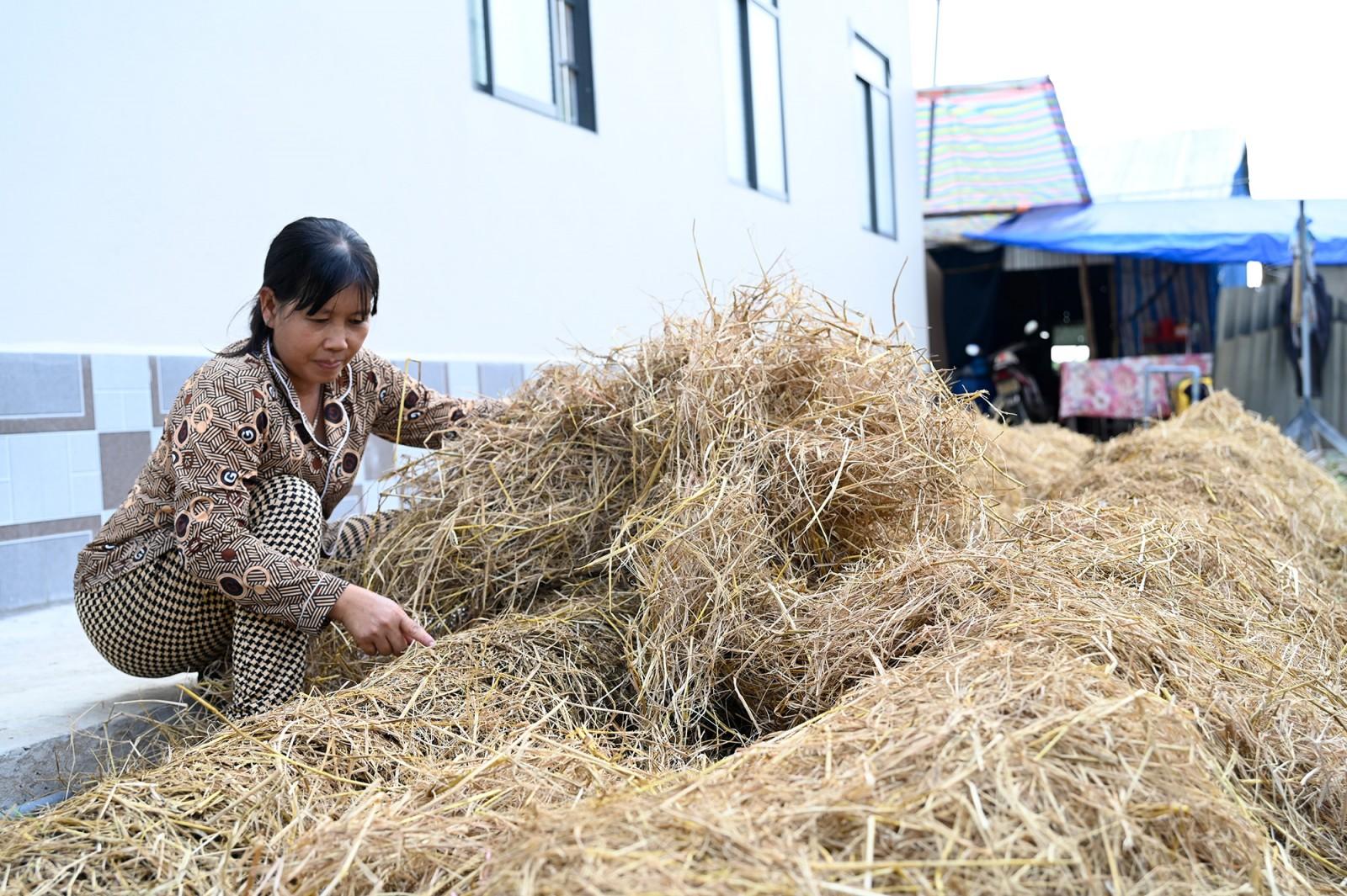 Legal changes in Viet Nam from 2020 to 2025 support circular agriculture
