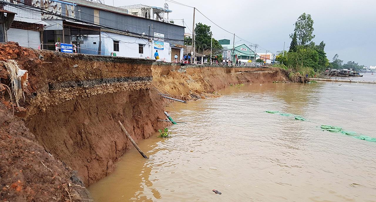 Ecological pathways to address riverbank erosion in An Giang: Study identifies key plant species for riparian protection