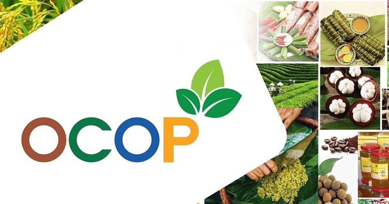 OCOP — Where the countryside comes to shine
