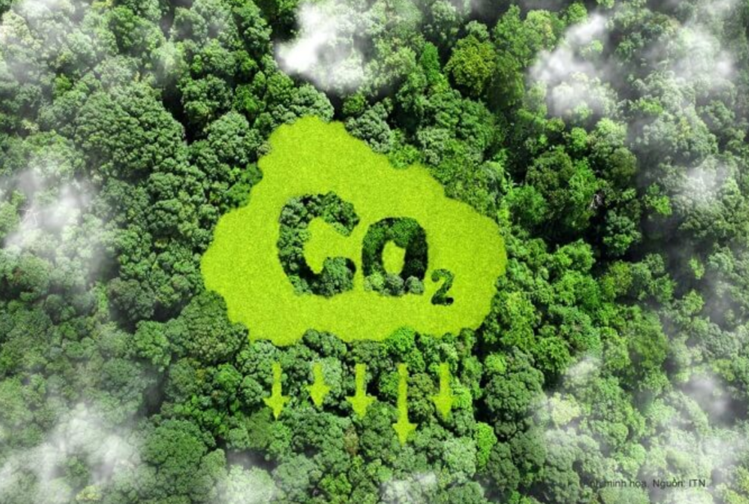 Part 1: Carbon pricing and the rationale for a domestic carbon market