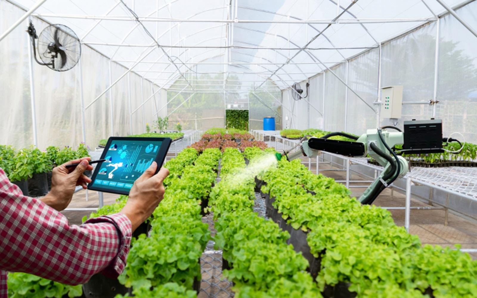 Science, technology, and digital transformation: Breakthrough pathways to unlock capital and land bottlenecks in contract farming