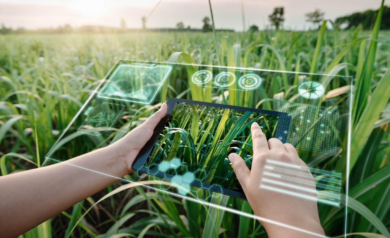 Part 1 - Laying the institutional and digital foundations for transformation in agriculture and environment