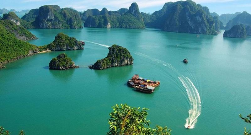 Exploring the fish assemblage of Bai Tu Long Bay and Ha Long Bay: New records of 48 species and alarming signals for biodiversity