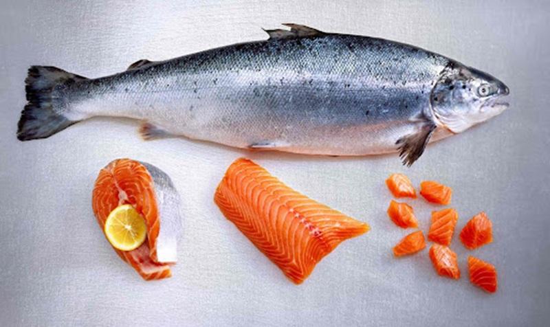 Unlocking the “golden value” of salmon by-products: A 10-hour journey that turns waste into premium nutrition