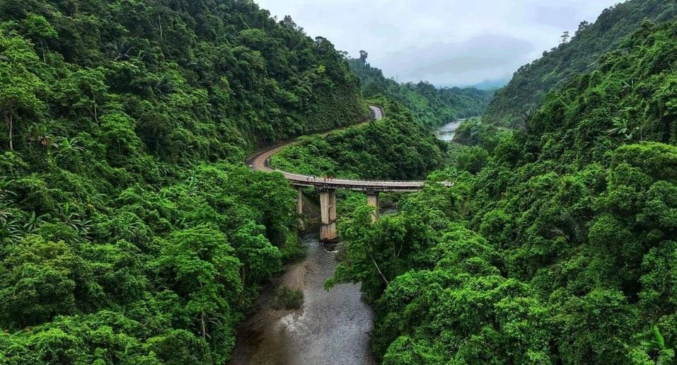 Exploring 42 stream fish species in Dong Chau – Khe Nuoc Trong: First comprehensive biodiversity assessment released