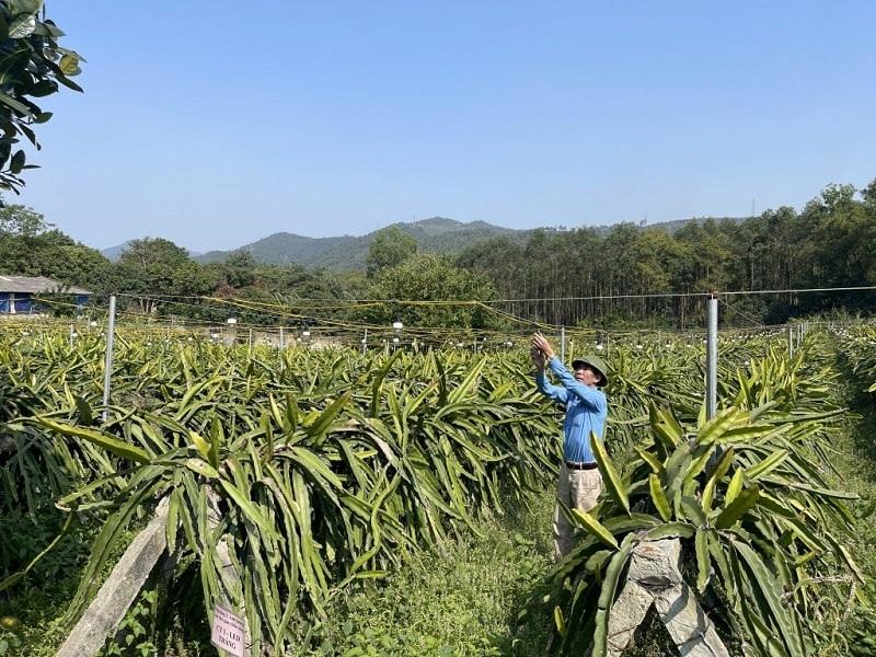 Quang Ninh assesses key agricultural value chains to support sustainable agricultural restructuring