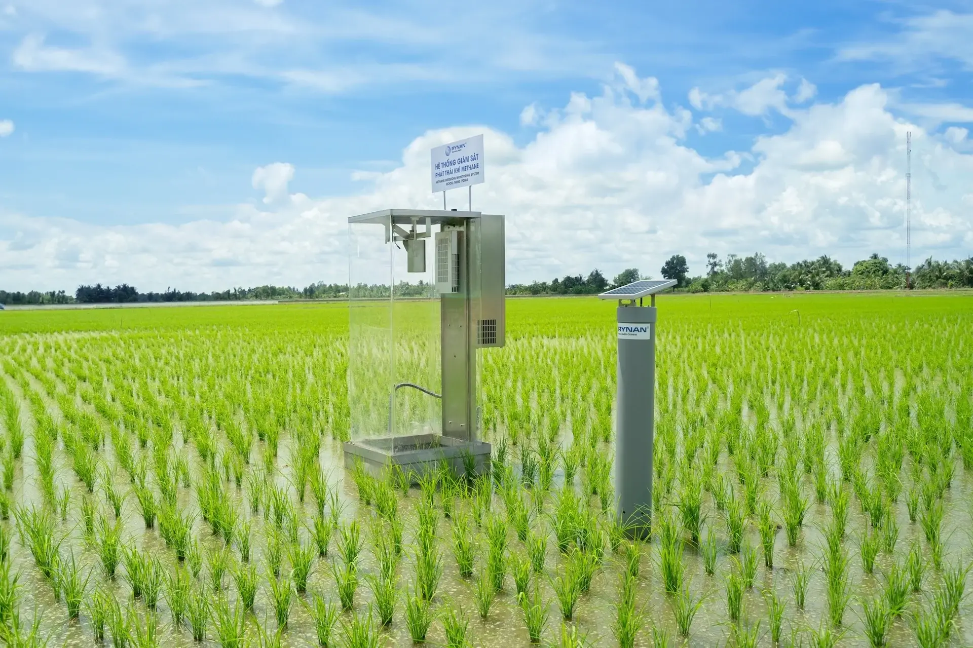 mohinh_luaphatthai3_1789701746.webp
