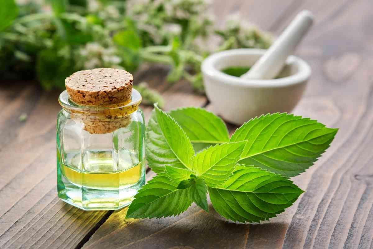 How plants are emerging as agriculture’s green shield