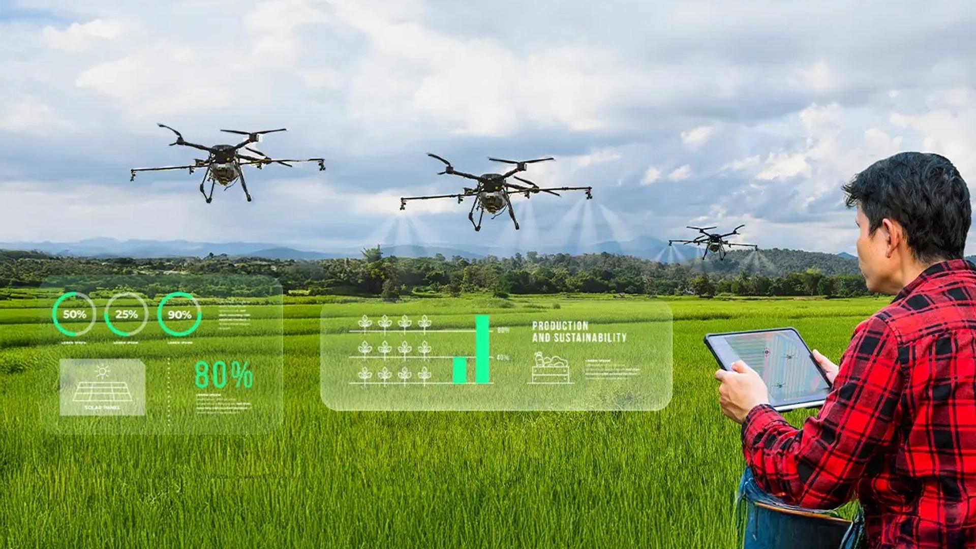 Science and technology as a driver of growth in Viet Nam’s agriculture, forestry and fisheries sector