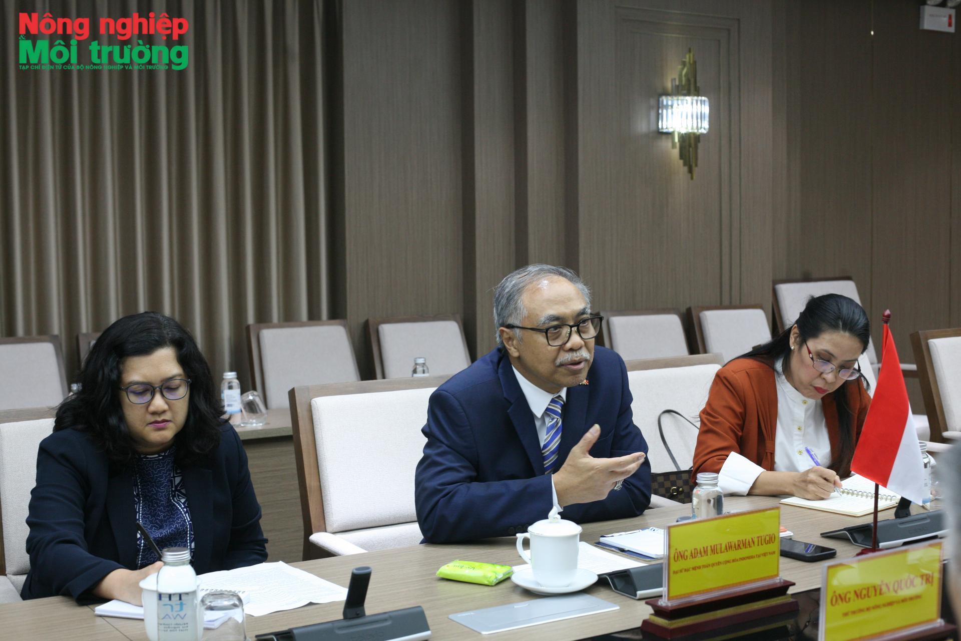 tri_indo1_1790653600.jpg