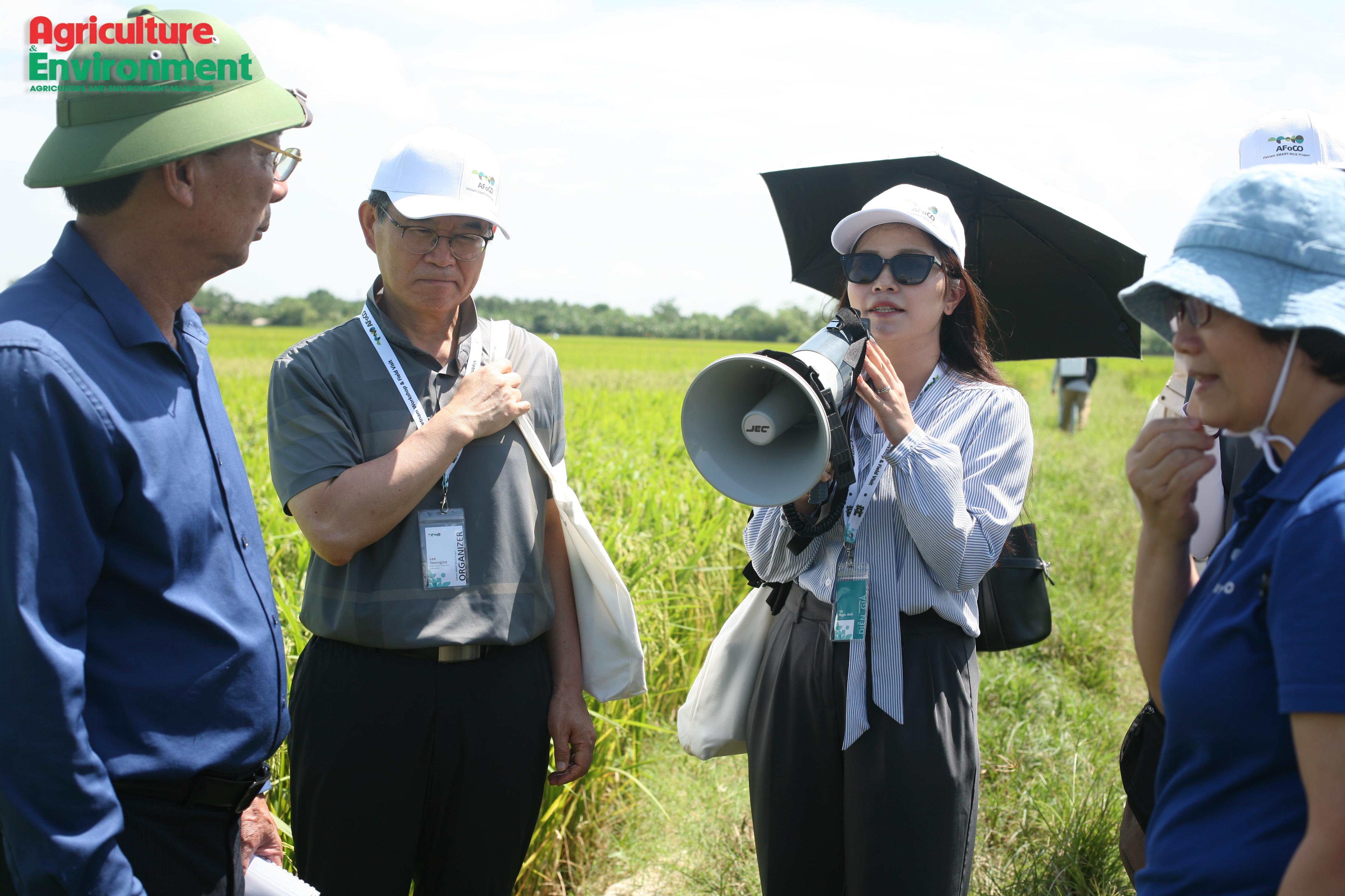 anh-8_1790234370.jpg