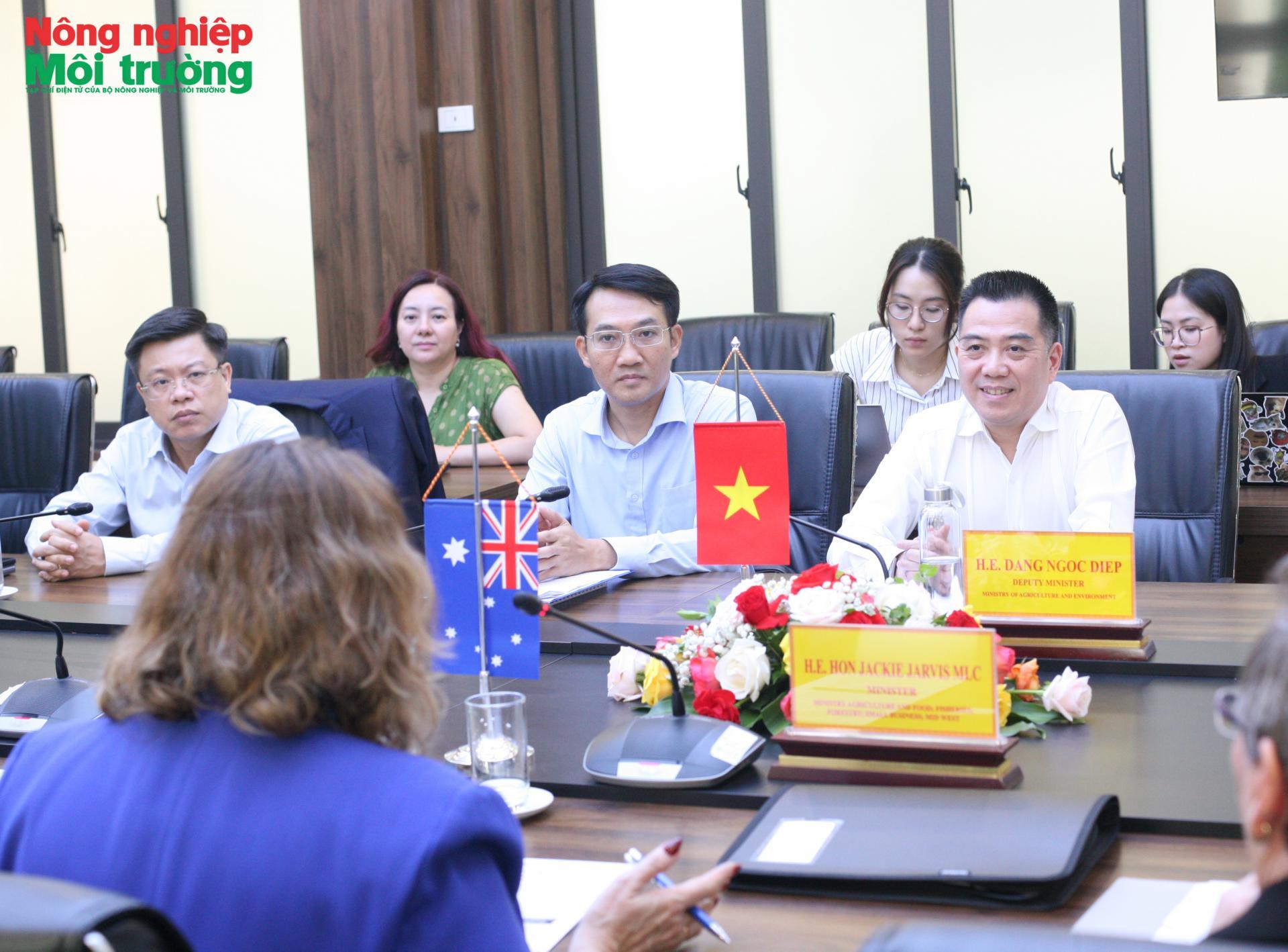 diep_uc_1790669689.jpg