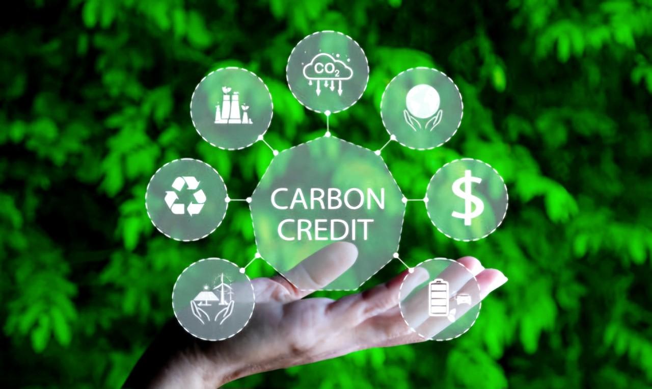 Viet Nam joins Southeast Asia’s race to build a carbon market