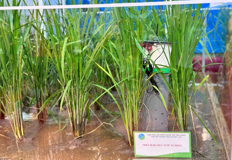 Scientific and technological highlights of the Agriculture and Environment sector at the exhibition on 80 years of national achievements