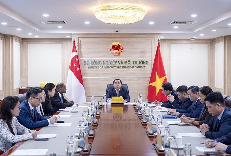 Vietnam-Singapore climate cooperation: New opportunities for the carbon market and sustainable development