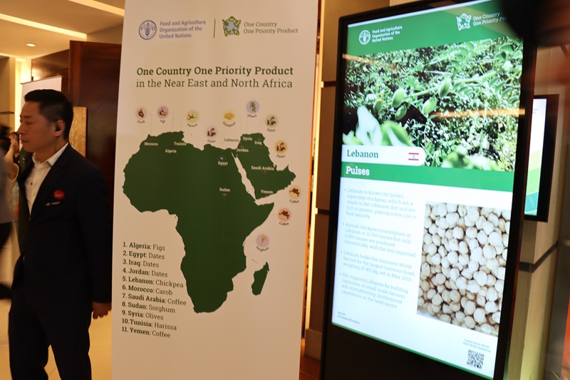 The “High-Level Inter-regional Knowledge Exchange on One Country One Priority Product (OCOP) Models”