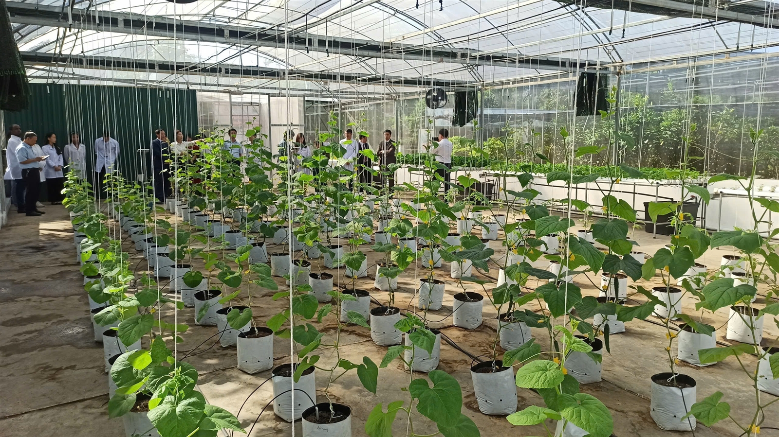 Strengthening water security: Lessons from Israel and opportunities for Vietnam - Israel cooperation