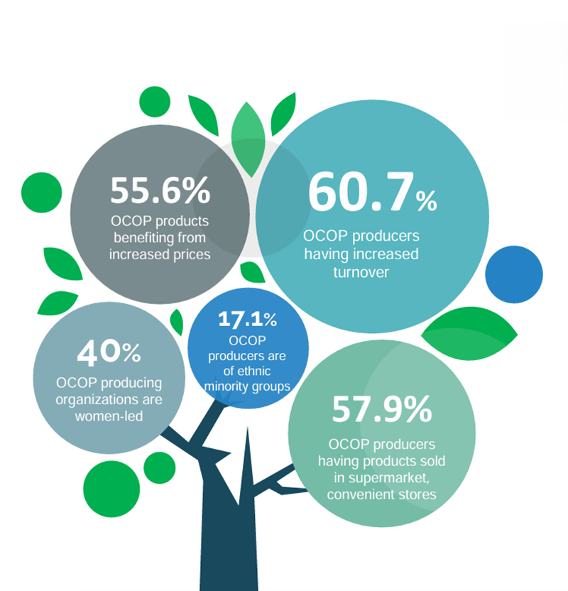 OCOP - A Vietnamese model for modern rural development: Bridging indigenous values with global markets