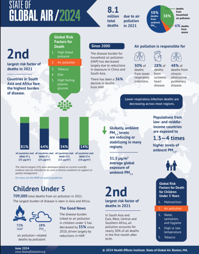 Air Pollution: The second-leading global risk factor for death