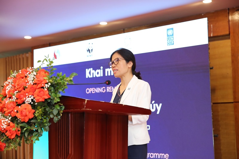 Vietnam towards a global agreement on plastic waste in Busan