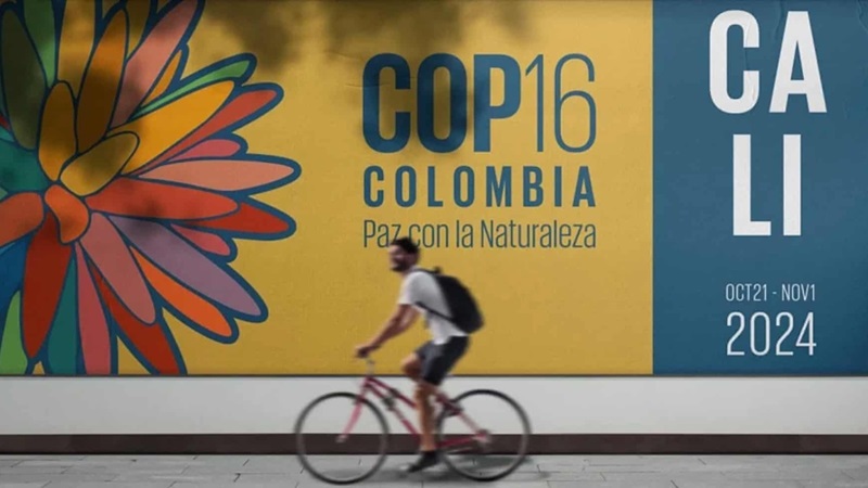 Vietnam strengthens global cooperation in biodiversity conservation at COP16