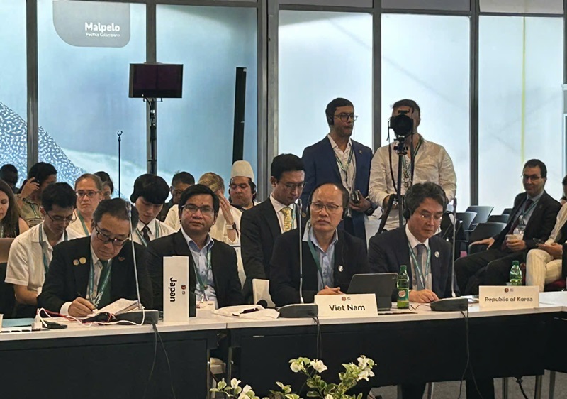 Strengthening commitments to biodiversity conservation at COP16: Towards a global alliance for peace with nature