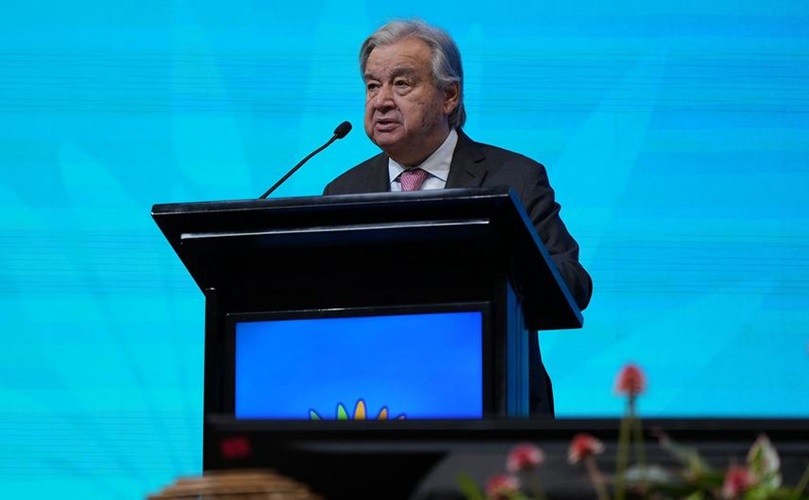 Strengthening commitments to biodiversity conservation at COP16: Towards a global alliance for peace with nature