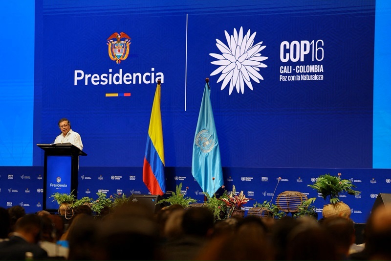 Strengthening commitments to biodiversity conservation at COP16: Towards a global alliance for peace with nature