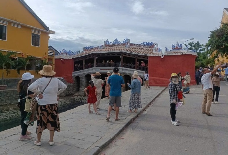 Vietnam's biodiversity triumphs: Cuc Phuong and Quang Nam lead the way