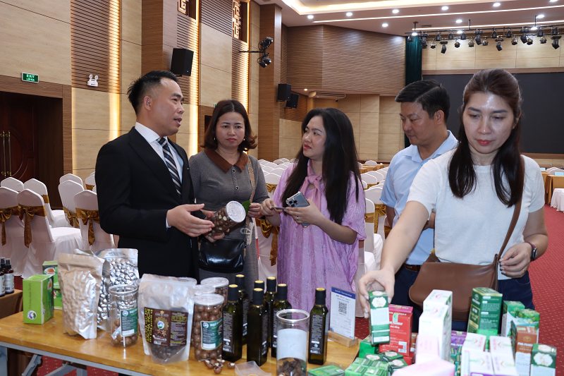 Empowering women in the circular economy: Insights from experts and entrepreneurs