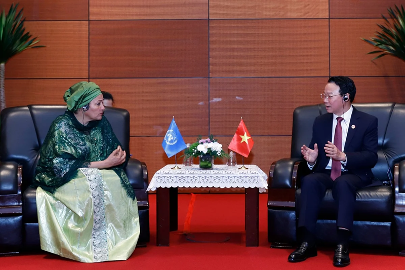 Vietnam reaffirms its pioneering role in emissions reduction and just energy transition