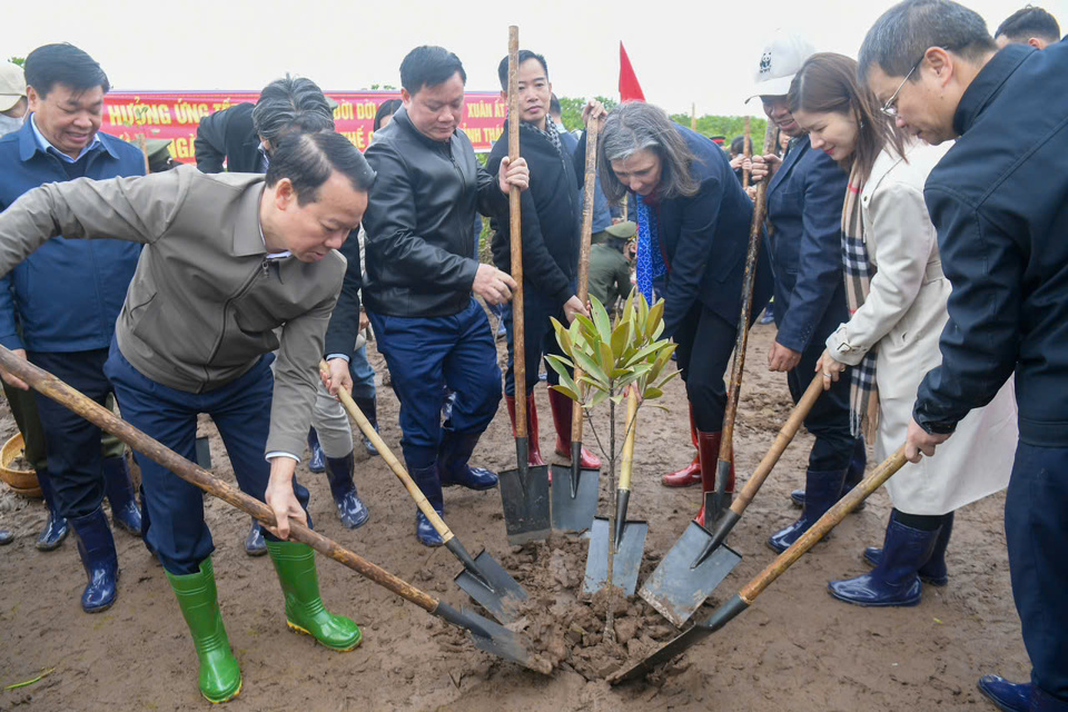 Ministry of Natural Resources and Environment Launches new-year tree planting festival in Thai Binh