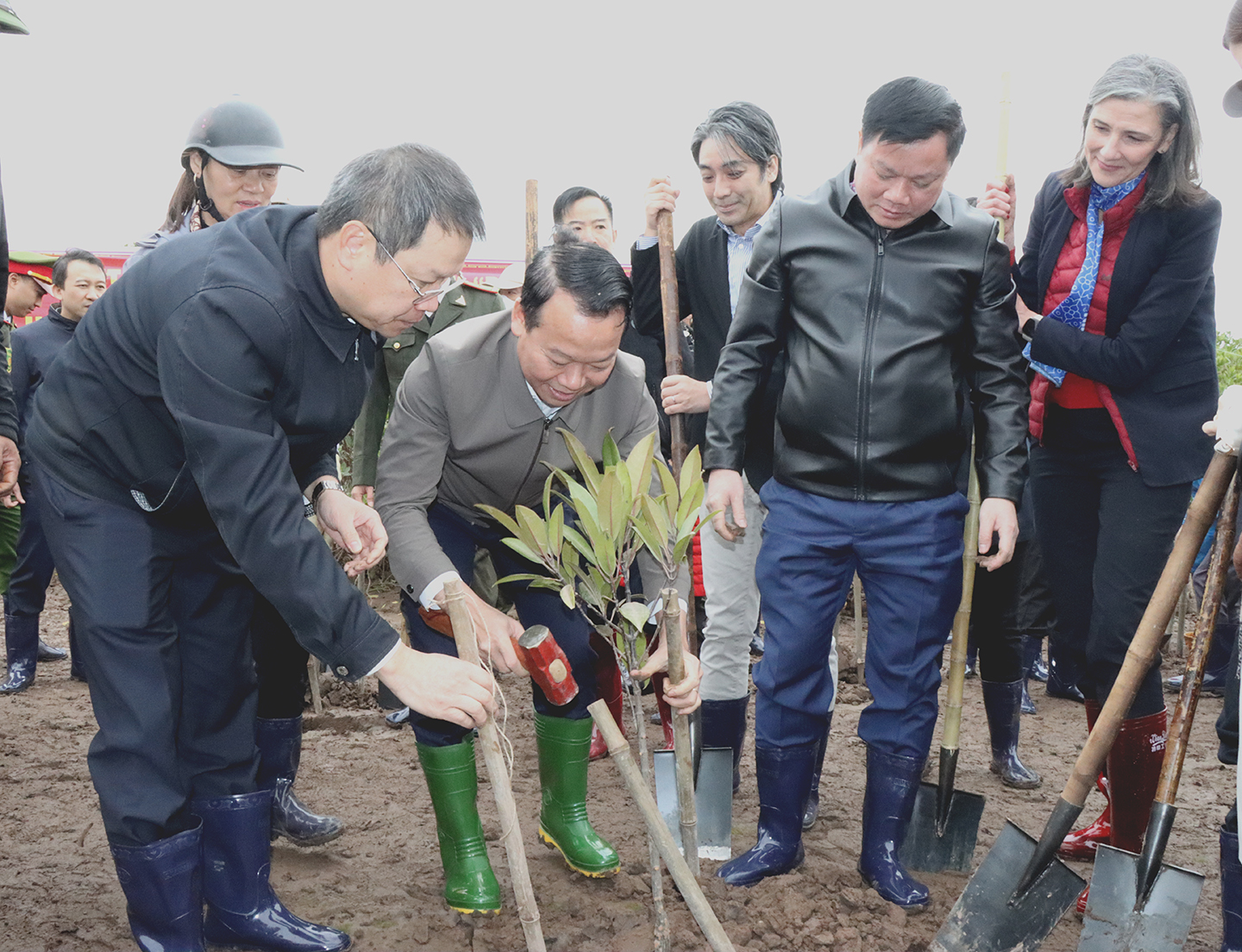 Ministry of Natural Resources and Environment Launches new-year tree planting festival in Thai Binh