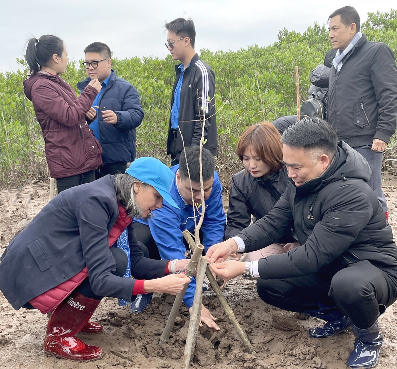 Ministry of Natural Resources and Environment Launches new-year tree planting festival in Thai Binh