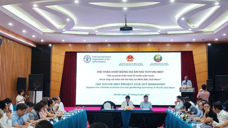 Vietnam’s agrifood momentum: Progress, partnerships, and a sustainable path forward