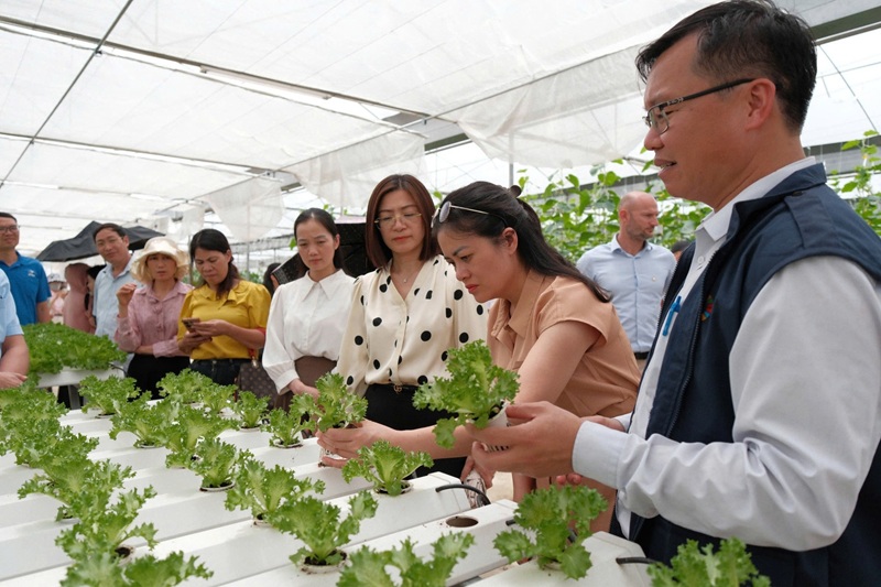 Vietnam’s agrifood momentum: Progress, partnerships, and a sustainable path forward