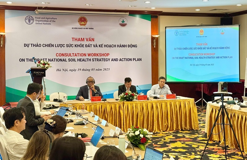 Laying the groundwork for sustainable agriculture: Vietnam consults on national soil health strategy
