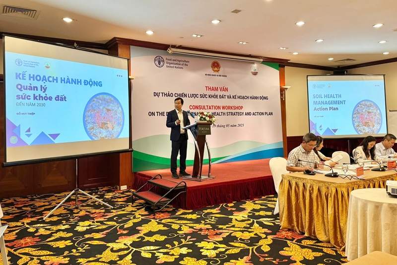 Laying the groundwork for sustainable agriculture: Vietnam consults on national soil health strategy