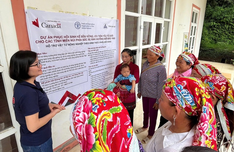 Vietnam-FAO: Toward a pverty-free and sustainable agriculture