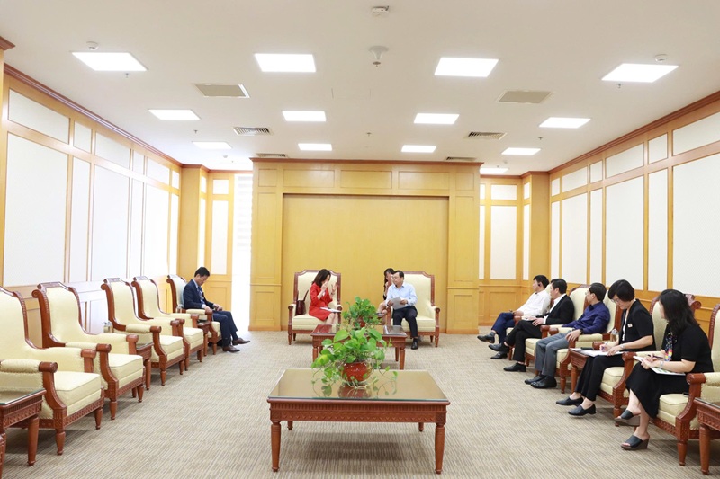 Enhancing Vietnam-UN cooperation in disaster prevention and response