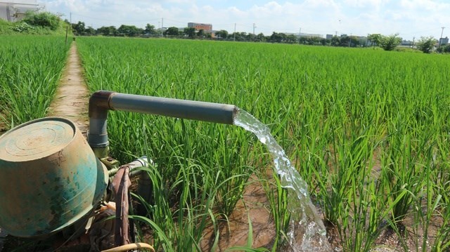 Part 1: Water use efficiency - The foundation of Vietnam’s green agricultural transition